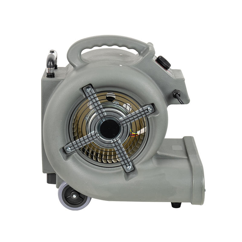 AM-A01 Hot and Cold Carpet Drying Fan